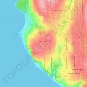 Mapa topográfico Arbor Heights, altitud, relieve