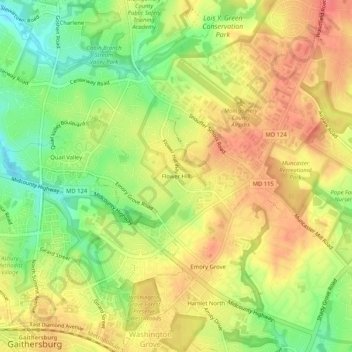 Mapa topográfico Flower Hill, altitud, relieve