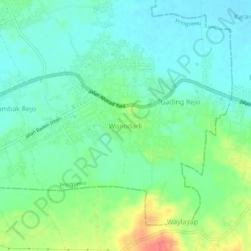 Mapa topográfico Wonodadi, altitud, relieve