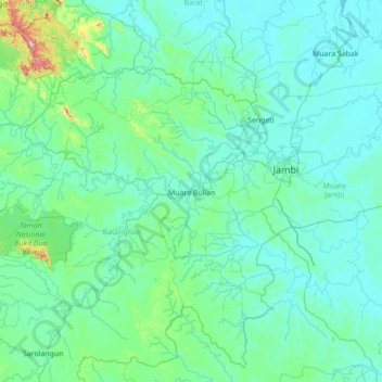 Mapa topográfico Muara Bulian, altitud, relieve