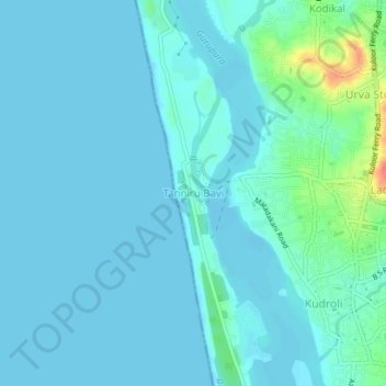 Mapa topográfico Tanniru Bavi, altitud, relieve