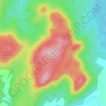 Mapa topográfico Foster Mountain, altitud, relieve