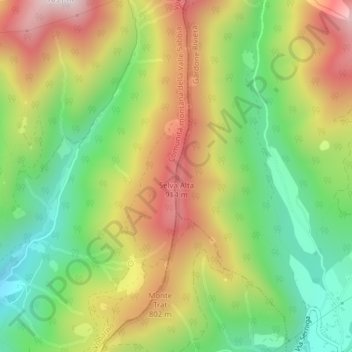 Mapa topográfico Selva Alta, altitud, relieve