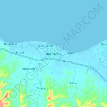 Mapa topográfico Buenavista, altitud, relieve