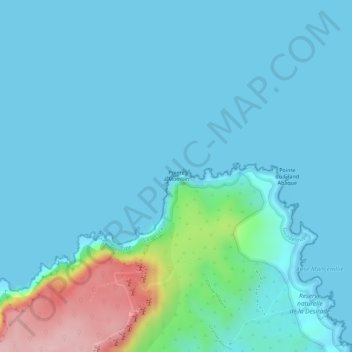 Mapa topográfico Pointe à Mombin, altitud, relieve
