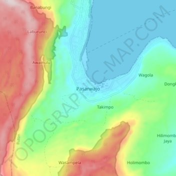 Mapa topográfico Pasarwajo, altitud, relieve