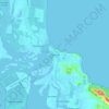 Mapa topográfico Forster, altitud, relieve