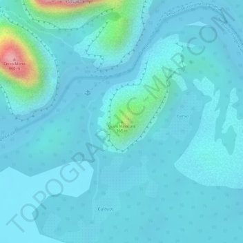 Mapa topográfico Cerro Mavicure, altitud, relieve