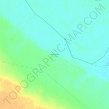 Mapa topográfico Paso Alsina, altitud, relieve