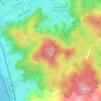 Mapa topográfico Cerro Caracol, altitud, relieve