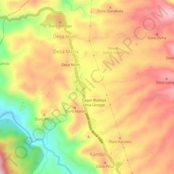 Mapa topográfico Wawo, altitud, relieve