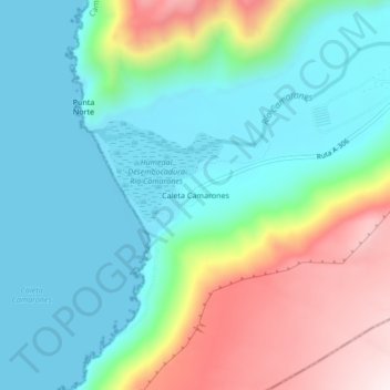 Mapa topográfico Caleta Camarones, altitud, relieve