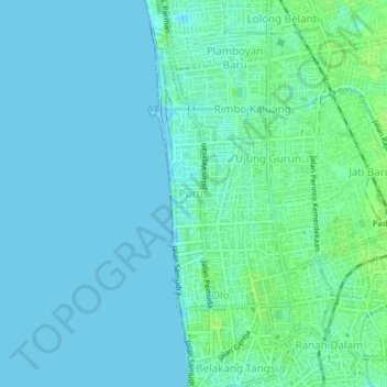 Mapa topográfico Purus, altitud, relieve