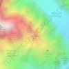 Mapa topográfico Petit Mont Blanc, altitud, relieve