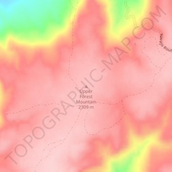 Mapa topográfico Upper Forest Mountain, altitud, relieve