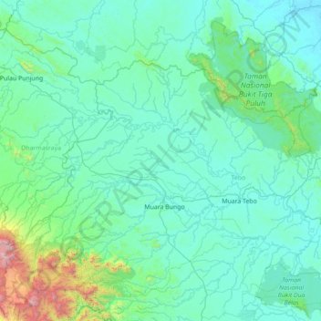 Mapa topográfico Rimbo Bujang, altitud, relieve