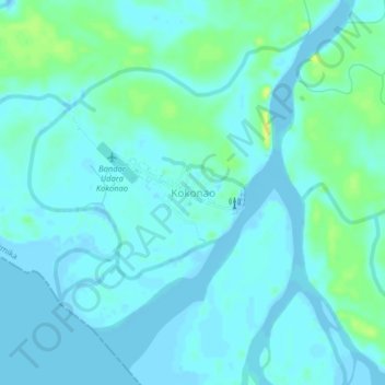 Mapa topográfico Kokonao, altitud, relieve