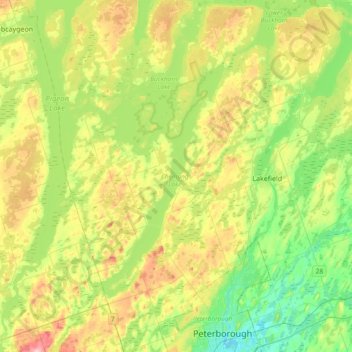 Mapa topográfico Selwyn, altitud, relieve