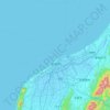 Mapa topográfico 新潟市, altitud, relieve